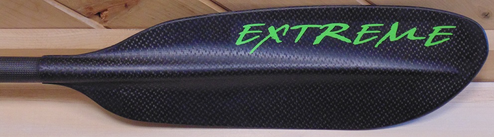 ExtremePaddle